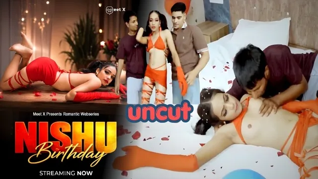 Nishu Birthday Uncut Hindi Hot Short Film &ndash; Meetx